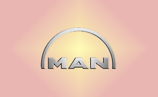 ✓ MAN N1.01100.0436 Запчасти МАН (MAN) 